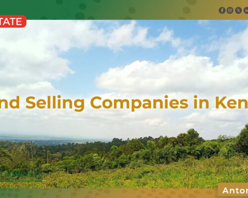 Land Selling Companies in Kenya